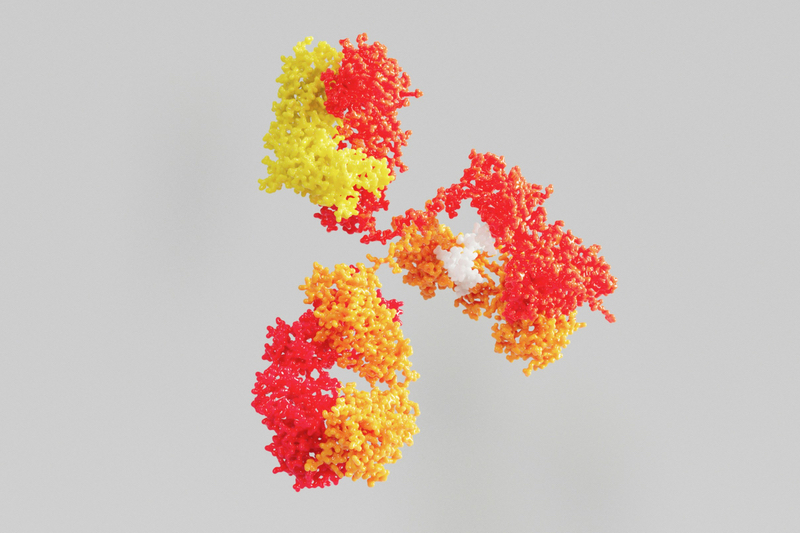 Johnson & Johnson submits nipocalimab application to the FDA following positive Phase III results