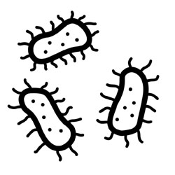 Just–Evotec Biologics advances US Dept of War antibodies against orthopoxvirus into Phase I