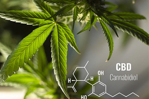 KD Pharma acquires phytoextract and CBD manufacturing assets