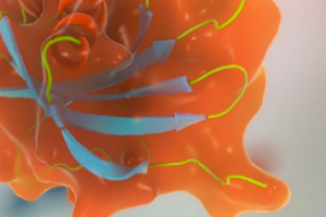 Key biotherapeutics patent to be granted in China