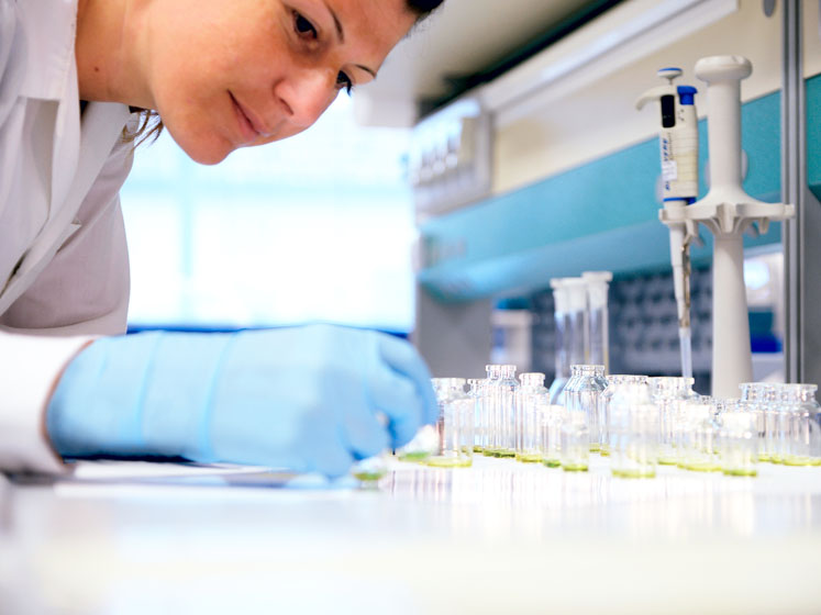 Key considerations for success when selecting primary container packaging in drug development
