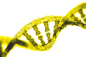 Lessons learned from the COVID-19 pandemic 