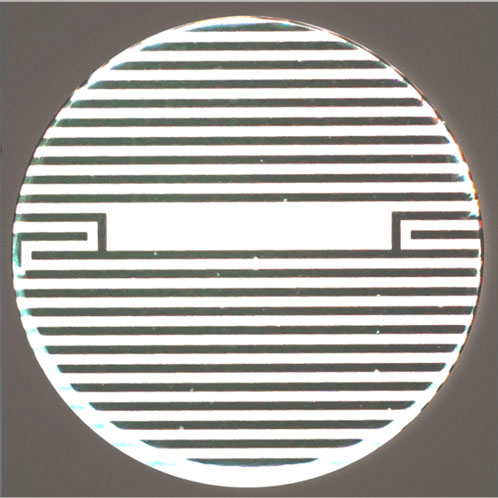 Figure 2: Interdigitated electrodes embedded in each well of a CytoView-Z 96 well plate