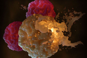 Leveraging bioelectronic assays for cell-based therapy