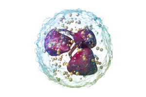 LIfT BioSciences receives Innovate UK grant to accelerate IMAN cell therapy product development