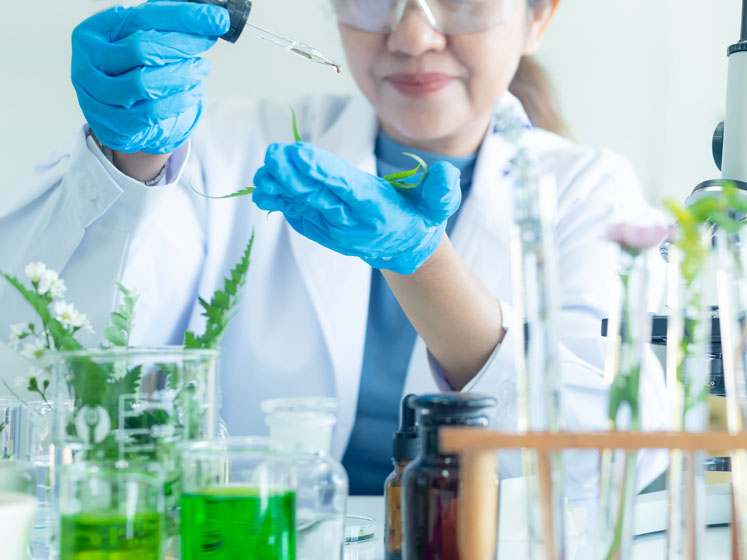 Linneo Health expands medicinal offering to include industrial cannabis derivatives
