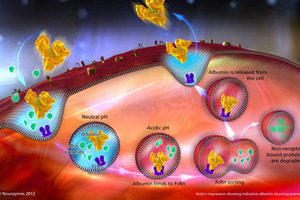 LIVE FROM CPHI: Novozymes Biopharma to collaborate with Almac