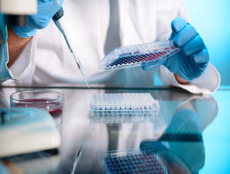 Long-term toxicology studies confirm MP1032 safety profile