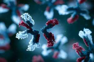 Lonza launches enhanced DNA-to-IND offering, enabling IND readiness in as Little as six months for more complex biologics