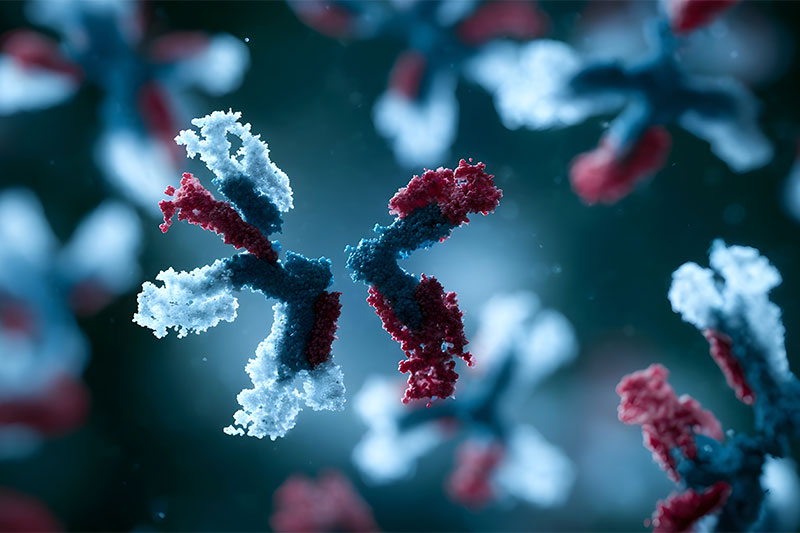 Lonza launches enhanced DNA-to-IND offering, enabling IND readiness in as Little as six months for more complex biologics