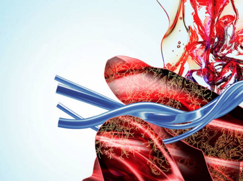 Lonza reveals process development roadmap for cell and gene therapies 