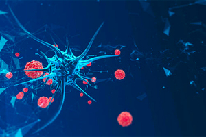 Low doses of radiation promote cancer-capable cells 