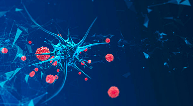 Low doses of radiation promote cancer-capable cells 
