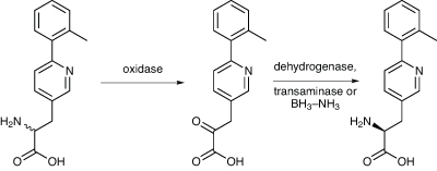 Scheme 3: Bristol-Myers Squibb managed to create a chirally pure form of a drug intermediate by enzymatic deracemisation then conversion back using a transaminase