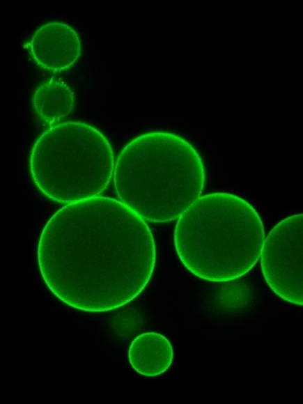 Malvern offers smart characterisation for smart polymers
