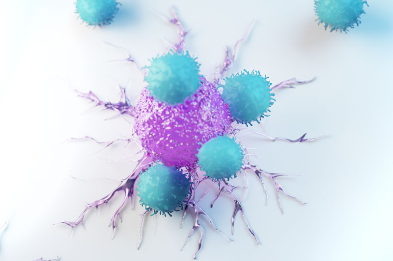 MaxCyte announces licensing agreement with Anocca to advance TCR-T cell therapy pipeline