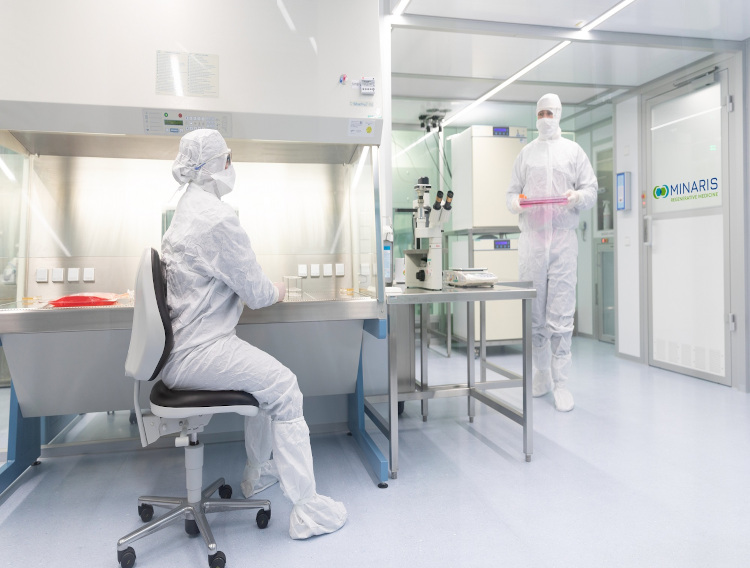 MaxiVAX and Minaris enter partnership for cancer immunotherapy