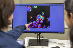 Medicines Discovery Catapult and ZEISS set sights on advancing microscopy in drug discovery
