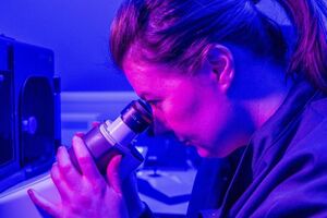 Medicines Discovery Catapult announces collaboration with £15.9m project on next-gen human disease modelling