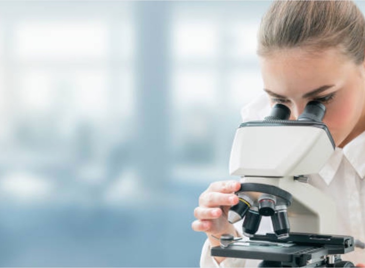 Medicines Discovery Catapult calls in CRO backup