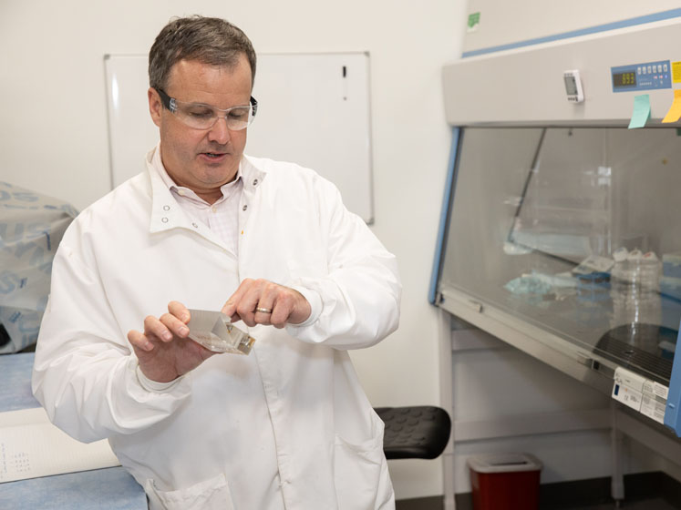 MedPharm introduces model to support coronavirus pharmaceutical development
