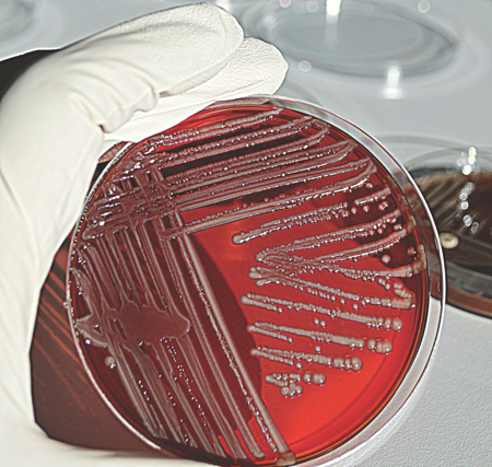 Meeting regulatory expectations