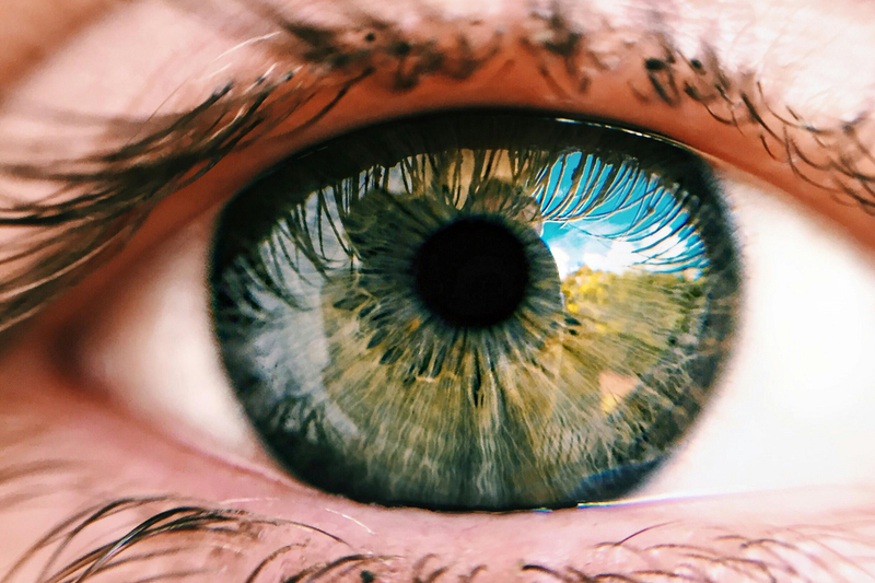 Merck acquires EyeBio from Jeito Capital for $3bn
