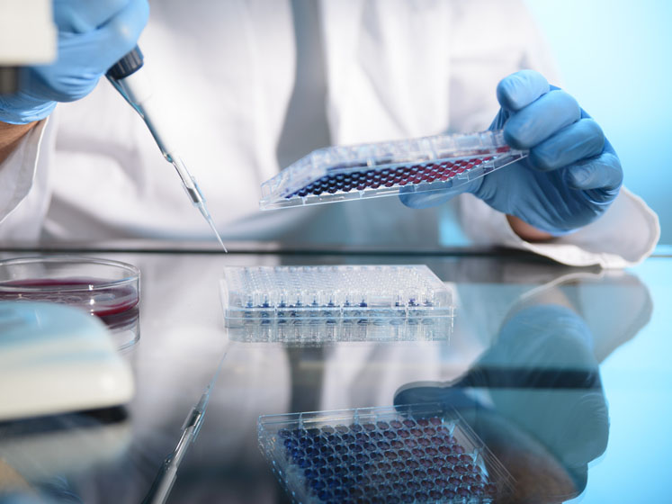 Merck introduces integrated plug-and-play upstream development service
