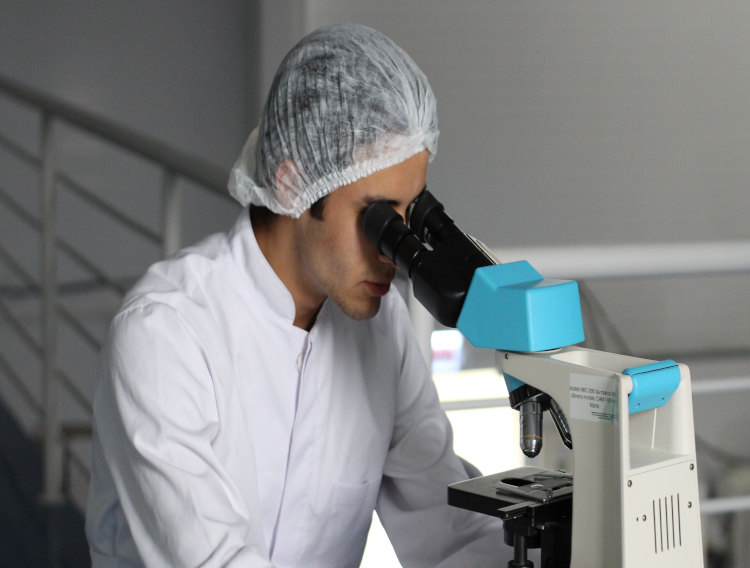 Merck licenses foundational CRISPR technology to Cellecta