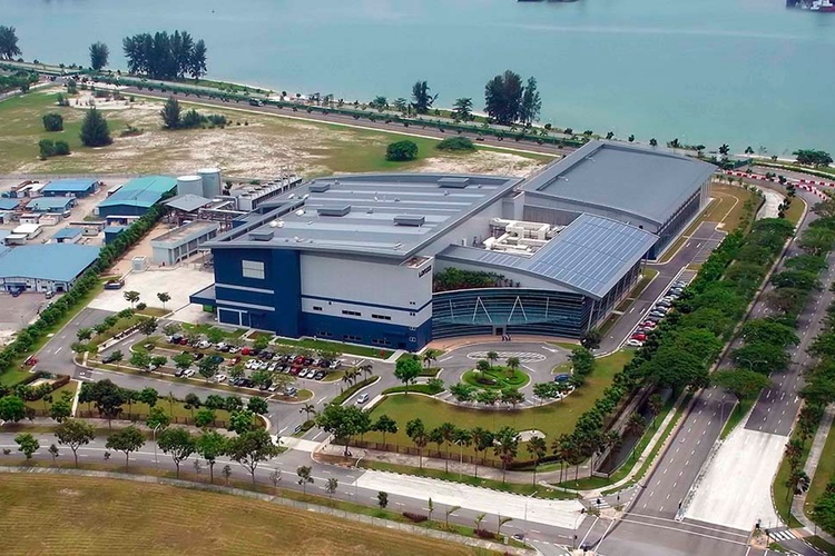 Mesoblast picks Lonza to commercialise allogeneic cell therapy