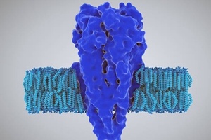 Metrion acquires rights to potassium channel inhibitors 