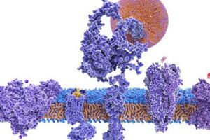 Metrion and LifeArc team up on neurological pathogenesis gene 