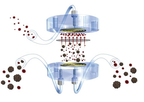 Metrohm ProfIC 3 Systems with Inline Dialysis Solves Difficult Application Matrices 