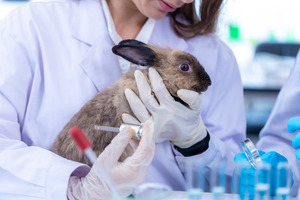 MHRA gives guidance to phase out animal testing