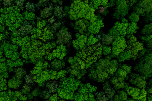 Micronclean cuts emissions by 90% via HVO switch