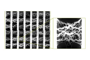 MIMETAS launches OrganoPlate UniFlow technology at SLAS 2025