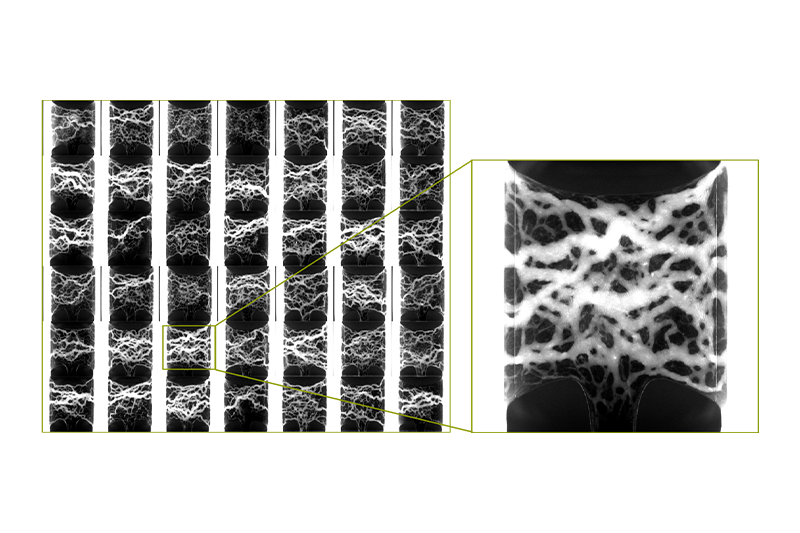 MIMETAS launches OrganoPlate UniFlow technology at SLAS 2025