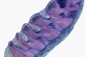 Mission paper outlines potential of experimental drug MTX325 as a disease-modifying therapy for Parkinson’s