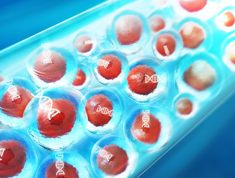MIT spinout designs gentle process for billions of engineered cells in minutes