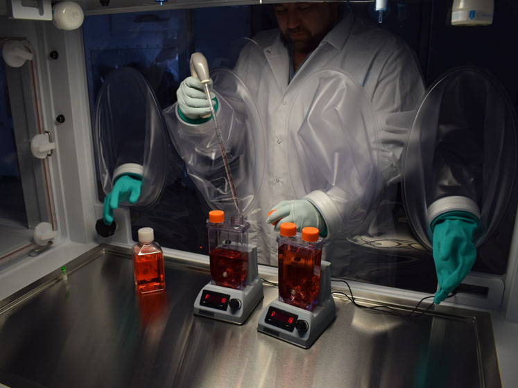 Modernising therapeutic cell production
