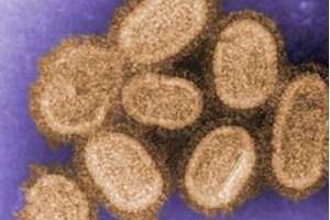 Molecular mechanisms of bird flu identified
