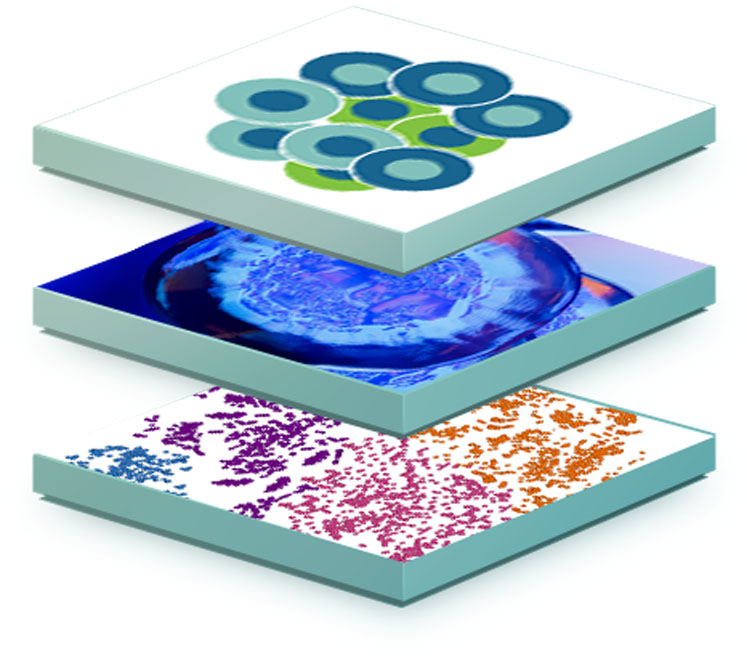 Multidimensional data analysis platforms: meeting new FDA calls for consistent evidence from CGT developers
