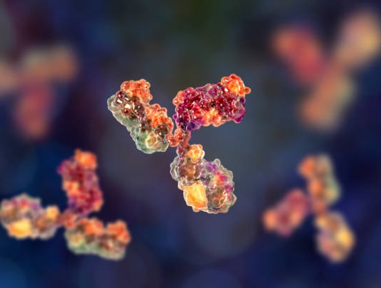 Mylan chooses Beximco for exclusive antibody distribution in Bangladesh