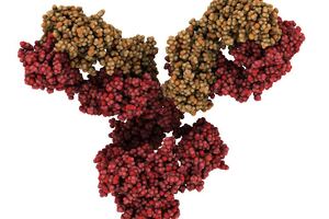 Myricx Bio enters into an exclusive antibody license agreement with WuXi Biologics