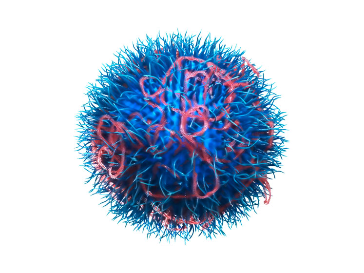 N4 Pharma highlights potential of Nuvec as gene therapy delivery platform
