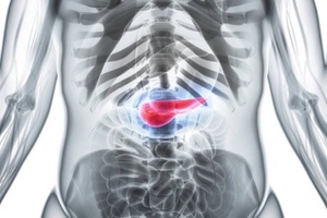 Nanobiotix partners with the Providence Cancer Institute