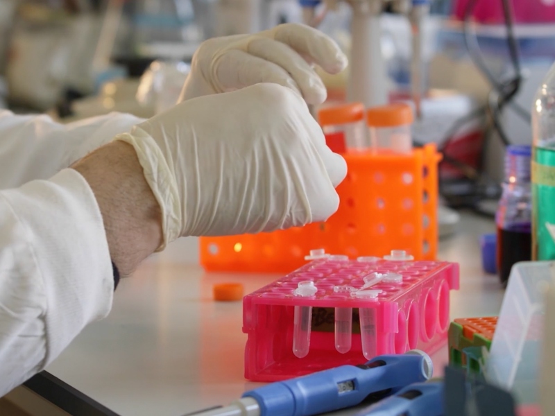 Nanoform and Celanese demonstrate enhanced drug delivery through the power of smaller implants