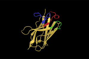 NanoMab appoints Paul Edwards as CEO and sets up in UK to prepare for European clinical trial programme

