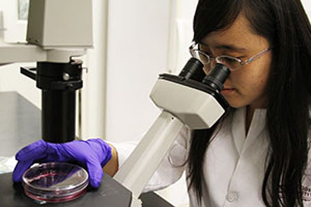 Nanotechnology could open way to new class of synthetic vaccines 