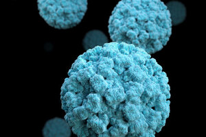 Native Antigen Company expands range of norovirus-like particles